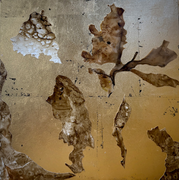 Winter's Life by Ellen Hathaway