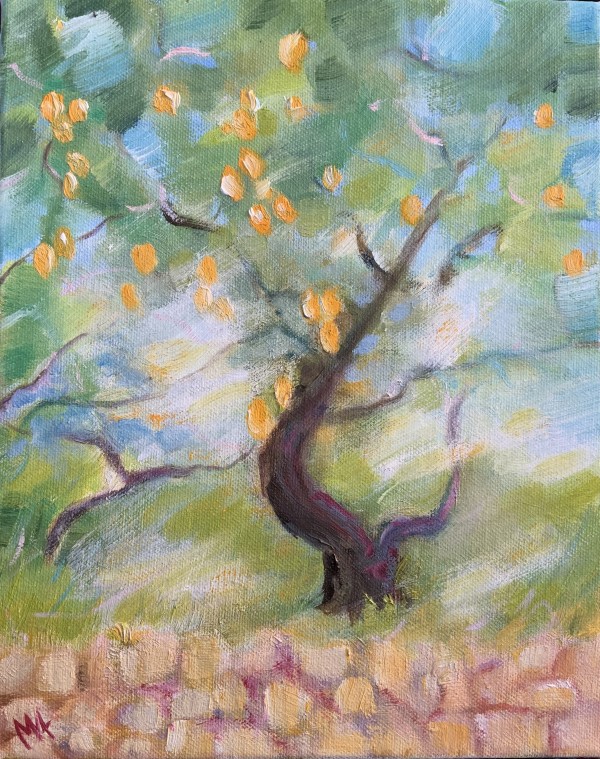 ‘Little lemon tree’