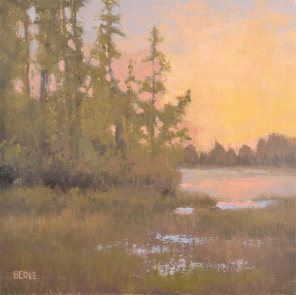 All Quiet by Beth Cole