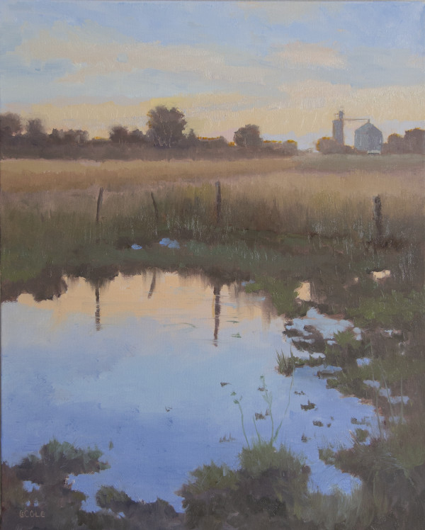 Pasture Pond by Beth Cole