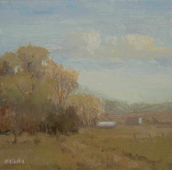 Early May Plein Air by Beth Cole