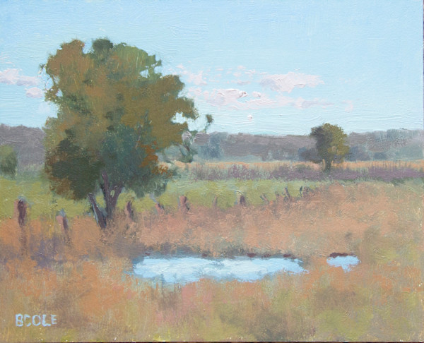 Fence Line by Beth Cole