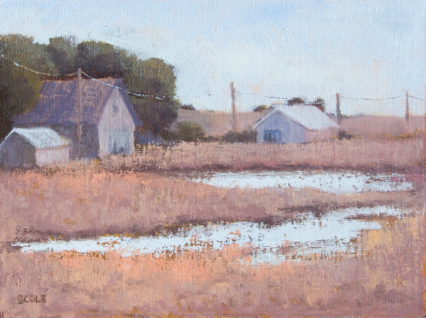 Flooded Farm by Beth Cole