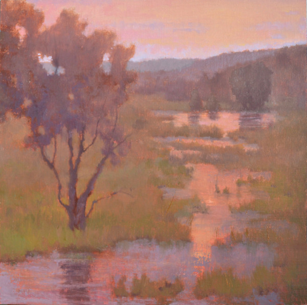 Flooded Field by Beth Cole