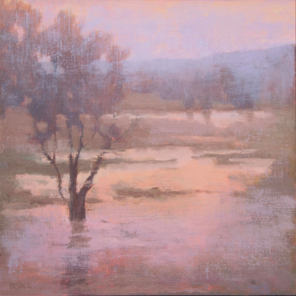 Flooded Field by Beth Cole, Image 1.