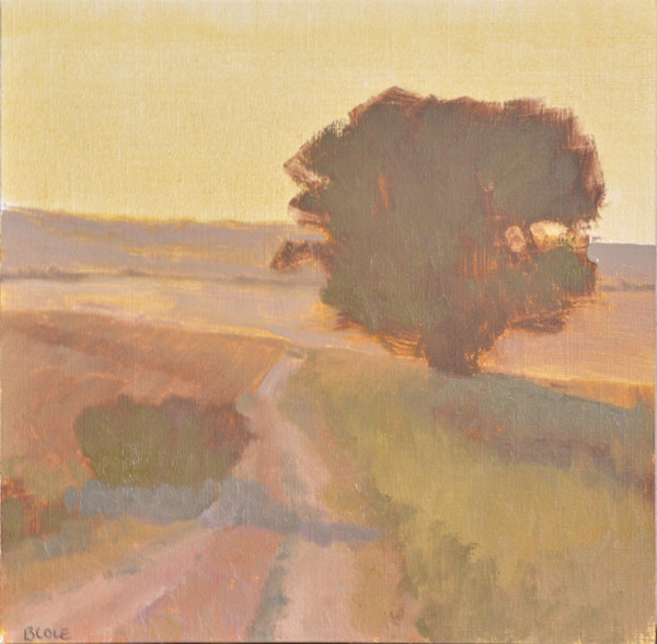 Golden Hour Trail by Beth Cole