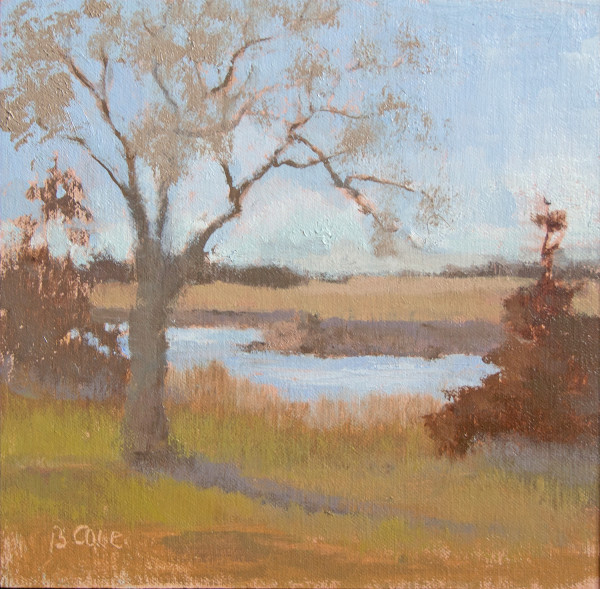 Middle Loup Plein Air by Beth Cole
