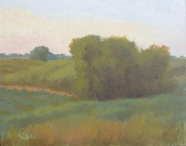 Morning Air Plein Air by Beth Cole
