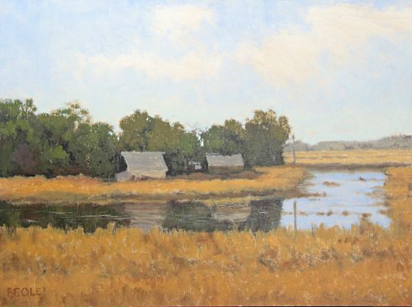 Overflow by Beth Cole, Image 1.