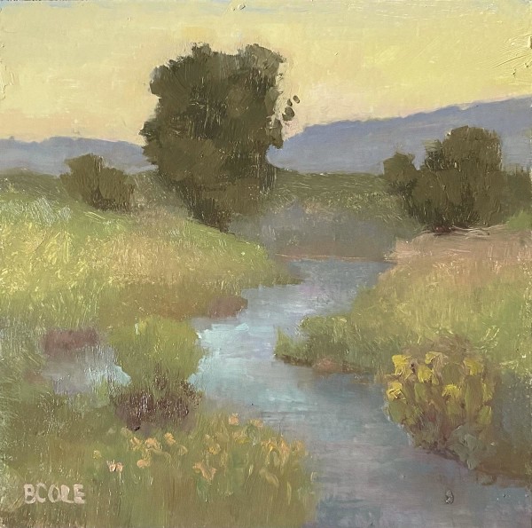Paint Niobrara A Little Pond by Beth Cole