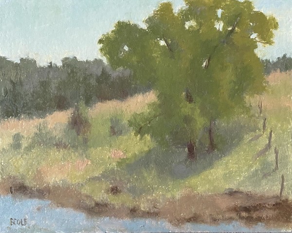 Paint Niobrara As Seen At Midday by Beth Cole