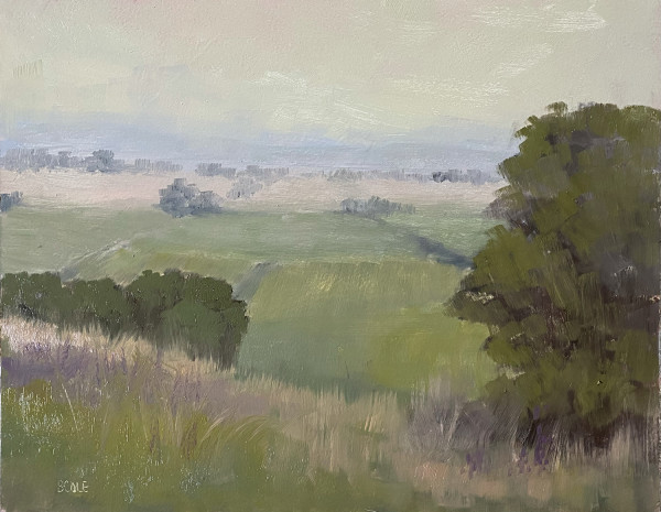 Plein Air Cramer Canyon Overlook by Beth Cole