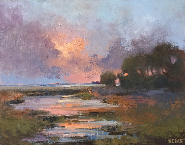 Prairie Dawn by Beth Cole