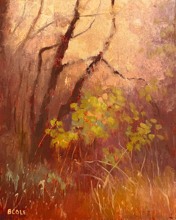 Signs Of Life by Beth Cole
