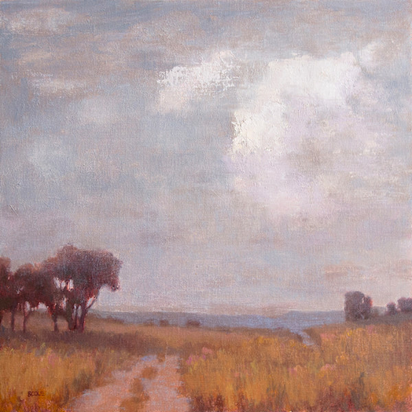 Sometimes Gray by Beth Cole, Image 1.