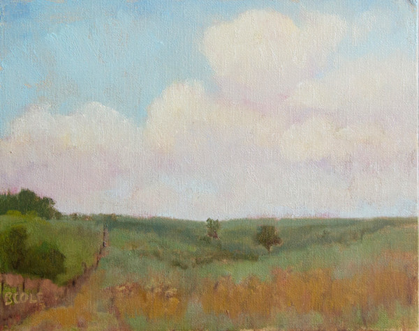 Summer Pasture by Beth Cole, Image 1.
