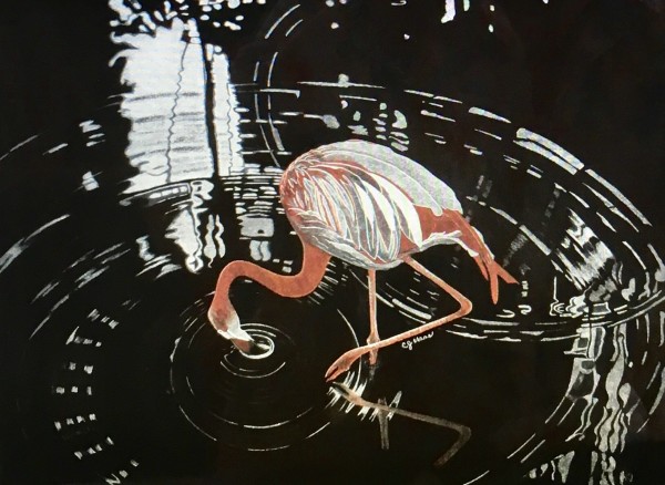 Flamingo by Carolyn J. Haas