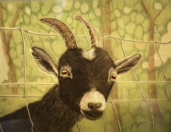 Escape Goat by Carolyn J. Haas