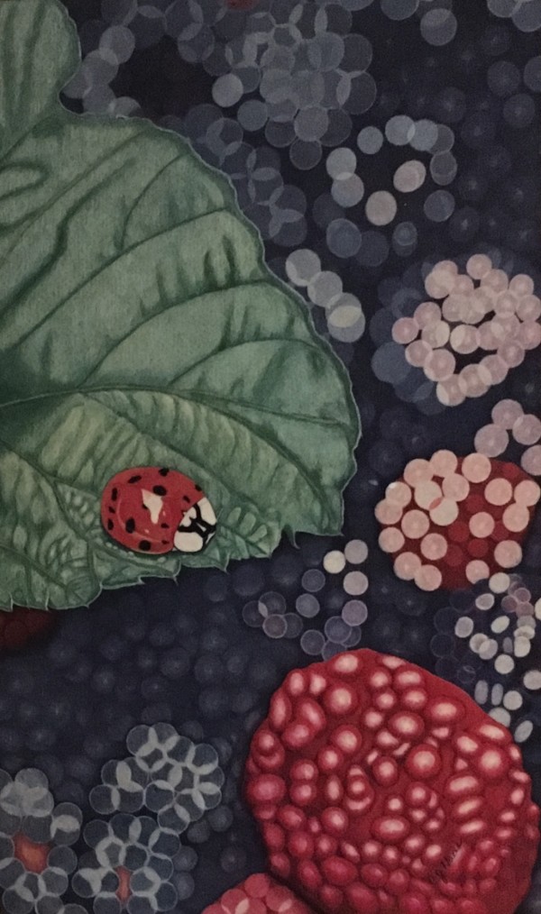 Ladybug by Carolyn J. Haas