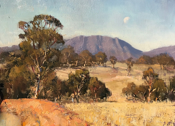 Dry Summer by Leon Holmes