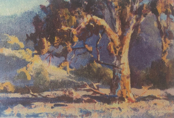 Little Gum Scene