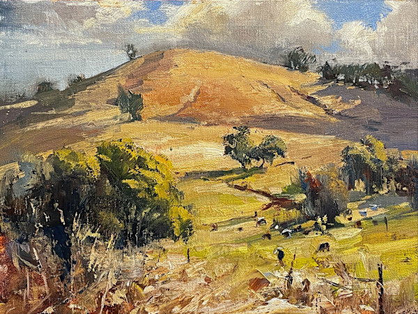 Hillside Paddock by Leon Holmes