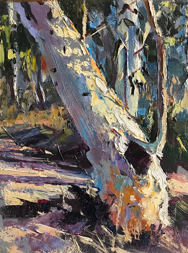 Small Study At Plain Creek
