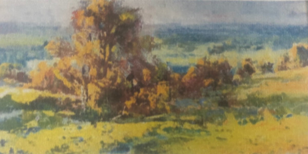 Open Fields