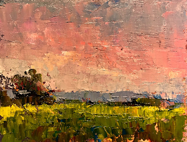Salmon Sky