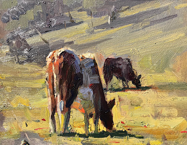 Spring In The Valley