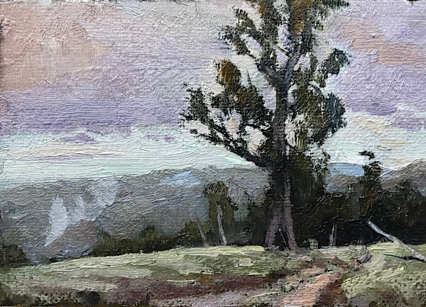 Burnoff Dwellingup