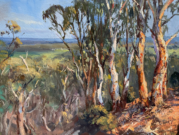 Contine Hill Dancer by Leon Holmes