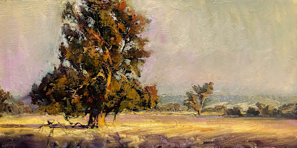 Pinjarra Sunset