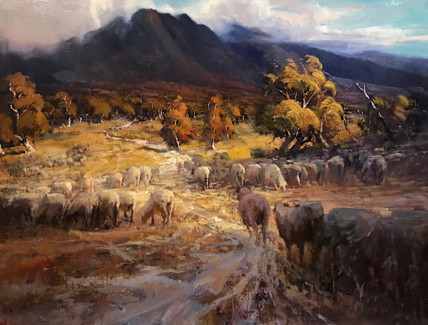 Woolly Wethers
