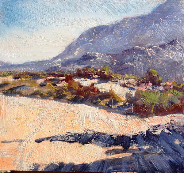 Desert Landscape Tuscon by Leon Holmes