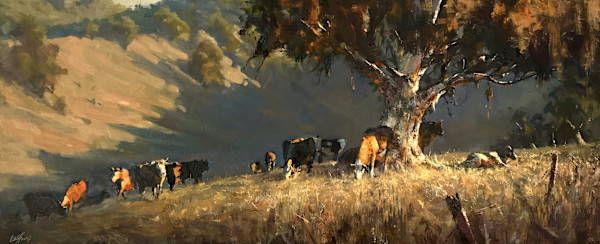 Hillside Moos
