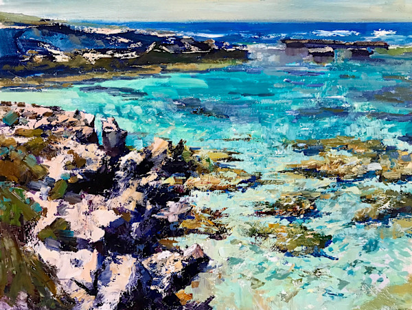 Little Salmon Bay by Leon Holmes