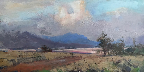 Evening Atmosphere