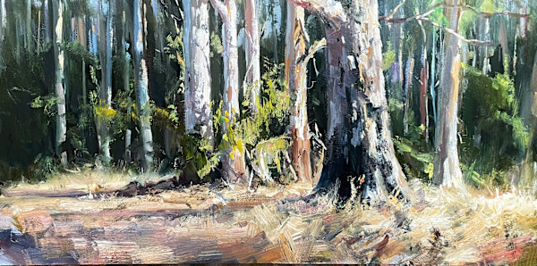 South West Karri by Leon Holmes