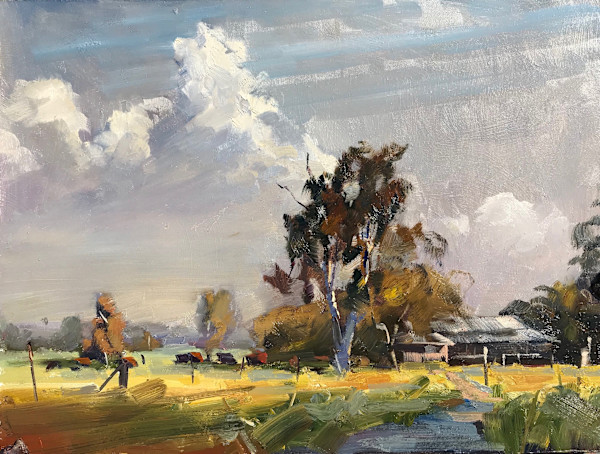 Clouds & Cows