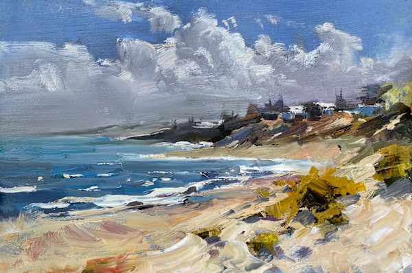 Falcon Bay Looking North by Leon Holmes