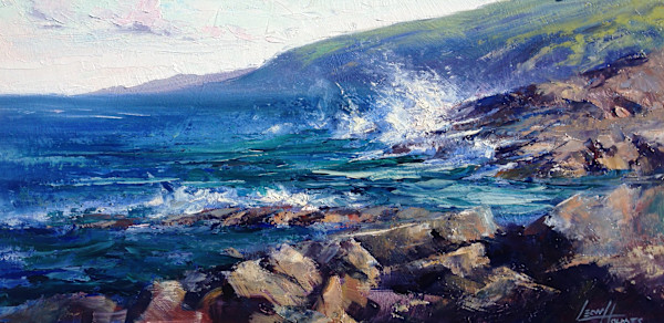 Looking North Over Cape Leeuwin by Leon Holmes