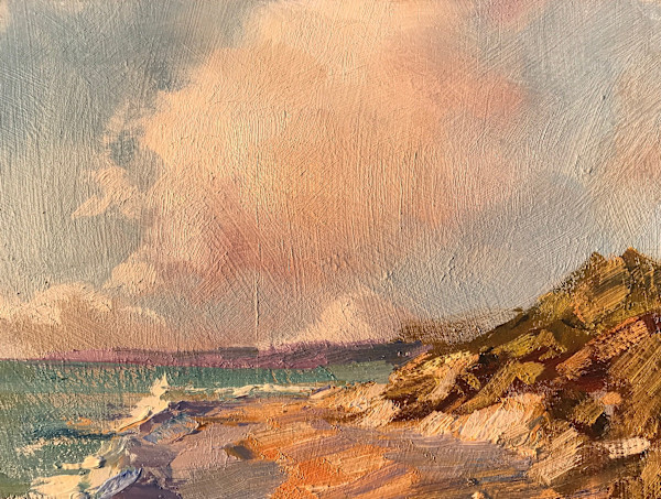 Halls Head Beach Study