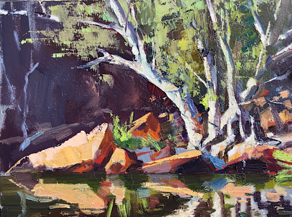 Gorge Reflections by Leon Holmes