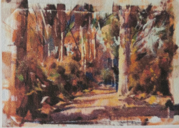 Late Light