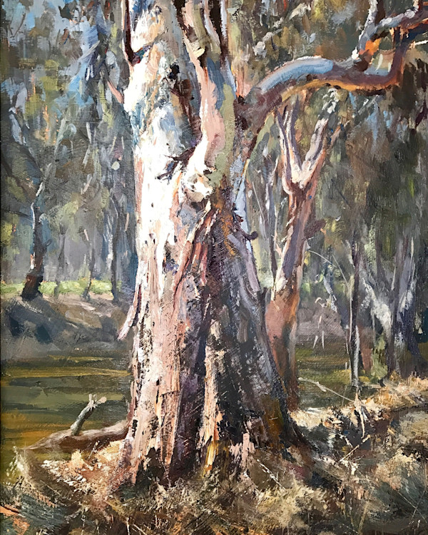 Morning Light On The River Red Gum by Leon Holmes
