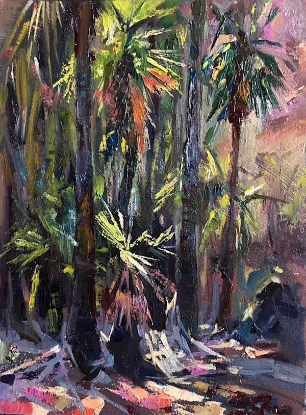 Livistona Pals El Questro by Leon Holmes