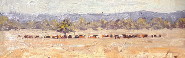 The Herd