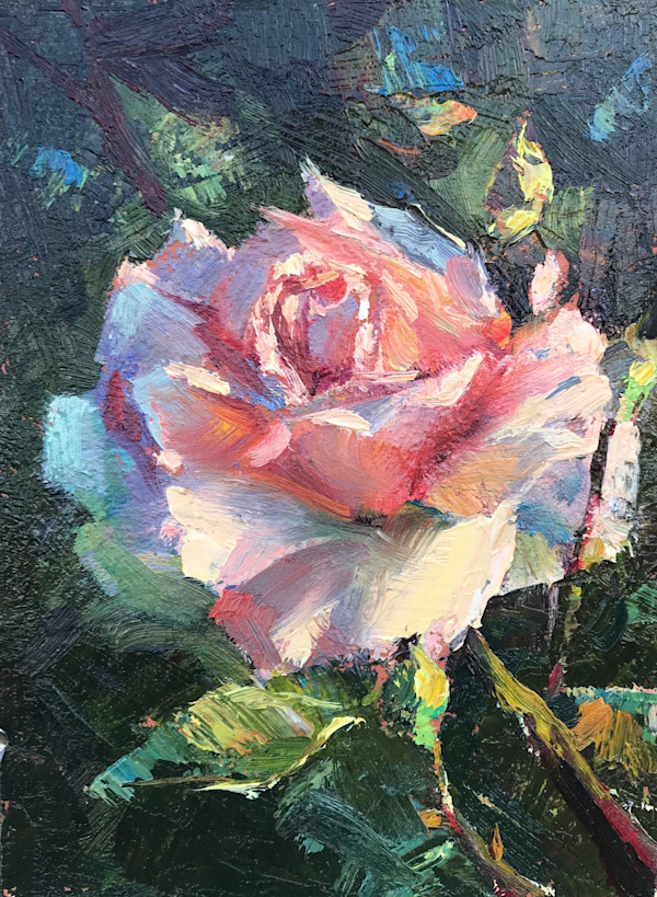 Rose For The Roses