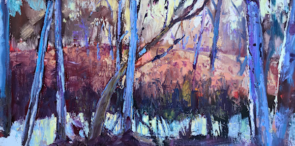 Dusk and Dust-Plain Creek